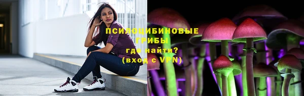 ECSTASY Бронницы
