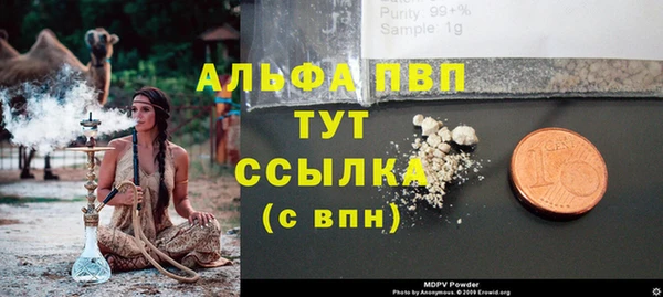 ALPHA PVP Бородино